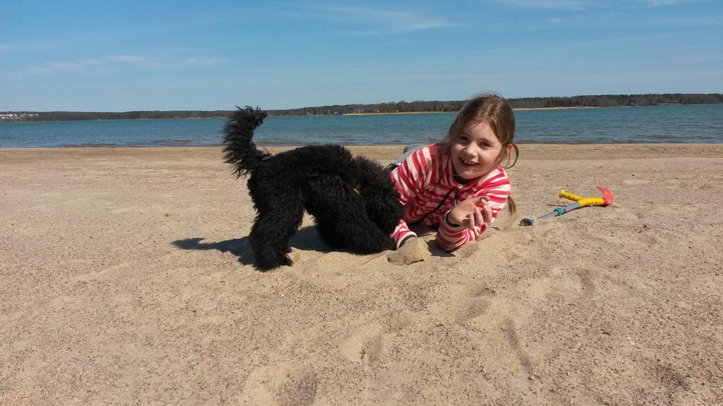 Groena Uddens Camping Mariehamn Luaran gambar
